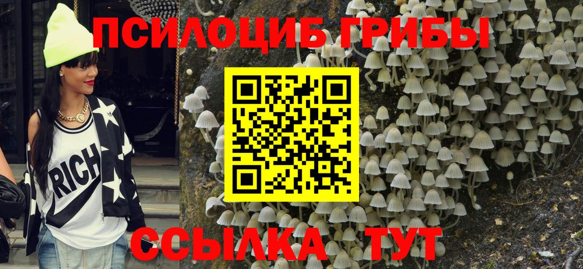 Шадринск  Псилоцибиновые грибы Cubensis  Вход с VPN 